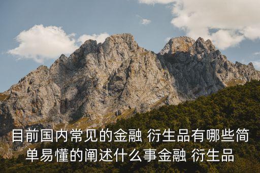 目前國內(nèi)常見的金融 衍生品有哪些簡單易懂的闡述什么事金融 衍生品