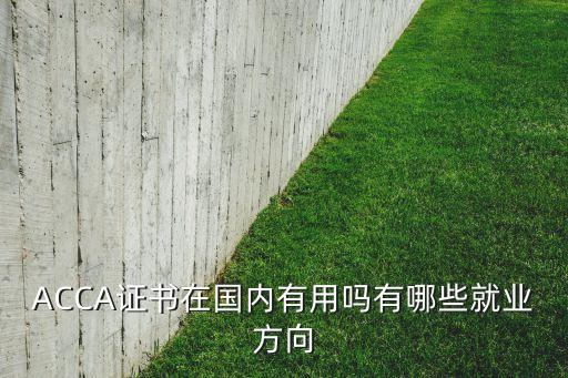 中國移動(dòng)注冊會(huì)計(jì)師