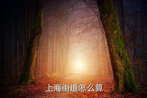 上海練江牧場基建隊