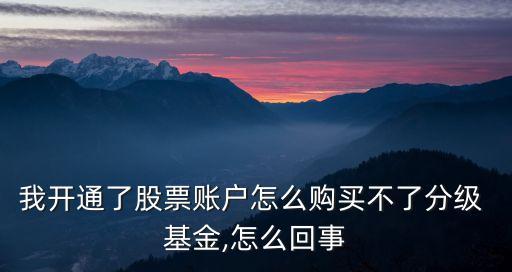 我開通了股票賬戶怎么購買不了分級 基金,怎么回事