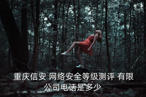  重慶信安 網(wǎng)絡(luò)安全等級(jí)測(cè)評(píng) 有限公司電話是多少