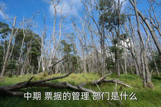 銀行票據(jù)融資業(yè)務(wù)在那個(gè)部門(mén)