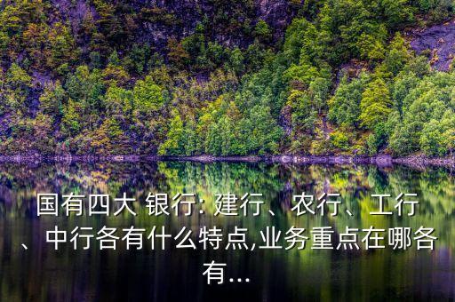 國有四大 銀行: 建行、農(nóng)行、工行、中行各有什么特點(diǎn),業(yè)務(wù)重點(diǎn)在哪各有...