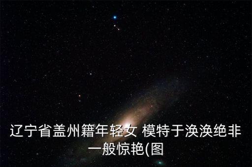 模特中國網,中國網紅尼泊爾事件