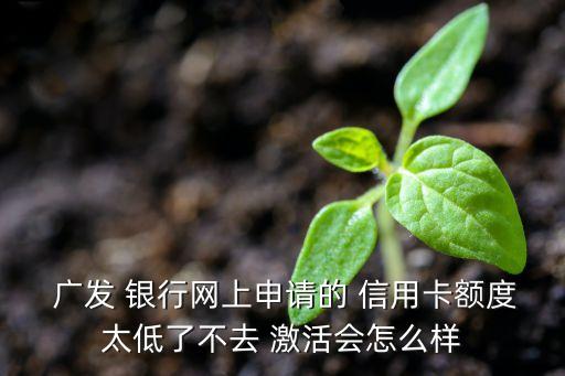  廣發(fā) 銀行網(wǎng)上申請(qǐng)的 信用卡額度太低了不去 激活會(huì)怎么樣