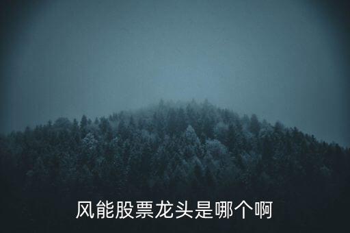風能股票龍頭是哪個啊