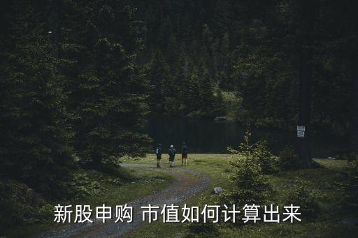 新股申購(gòu) 市值如何計(jì)算出來(lái)