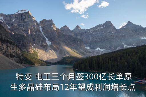  特變 電工三個(gè)月簽300億長(zhǎng)單原生多晶硅布局12年望成利潤(rùn)增長(zhǎng)點(diǎn)