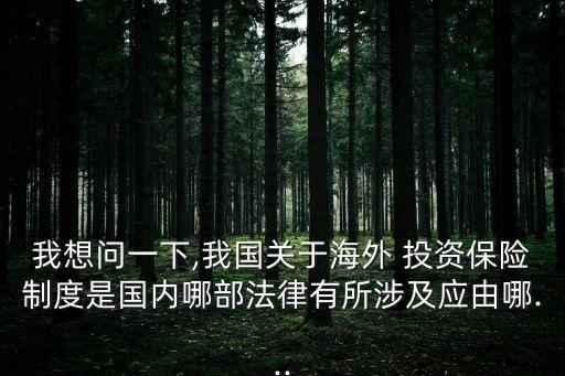 我想問一下,我國關于海外 投資保險制度是國內(nèi)哪部法律有所涉及應由哪...