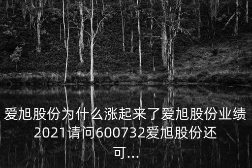 新陽(yáng)升股票
