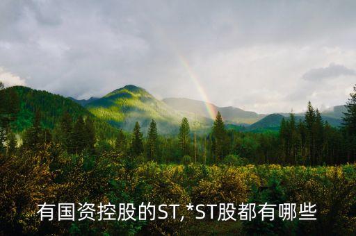 有國(guó)資控股的ST,*ST股都有哪些