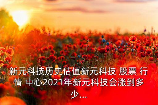 新元科技?xì)v史估值新元科技 股票 行情 中心2021年新元科技會漲到多少...