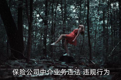  保險公司中介業(yè)務違法 違規(guī)行為