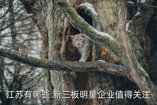 江蘇有哪些 新三板明星企業(yè)值得關注