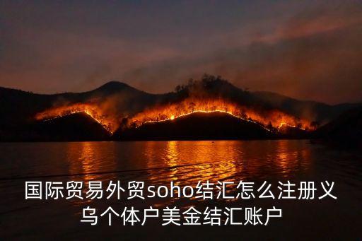 國際貿(mào)易外貿(mào)soho結(jié)匯怎么注冊義烏個體戶美金結(jié)匯賬戶