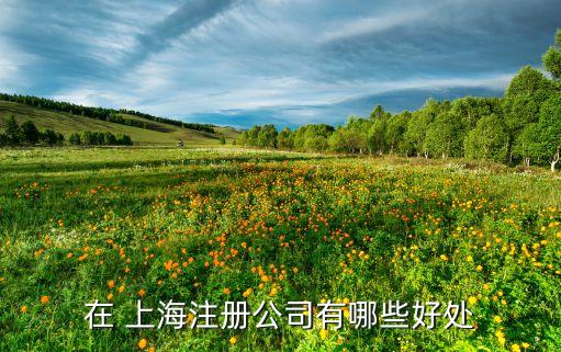 上海服務(wù)外包和自貿(mào)區(qū),上海外包公司哪家服務(wù)好