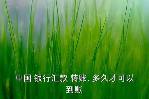 中國 銀行匯款 轉(zhuǎn)賬, 多久才可以到賬