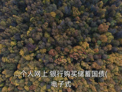 ...個(gè)人網(wǎng)上 銀行購買儲(chǔ)蓄國債(電子式
