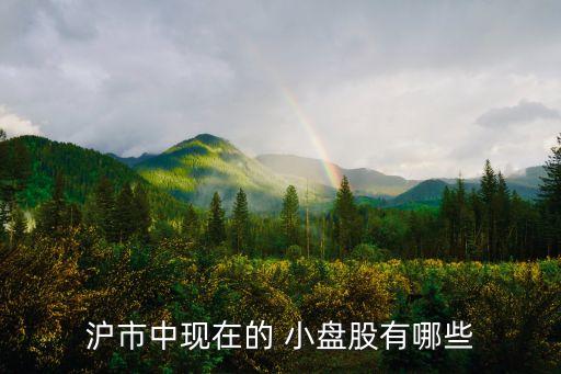 中小盤(pán)股票推薦,創(chuàng)業(yè)板小盤(pán)股票一覽表
