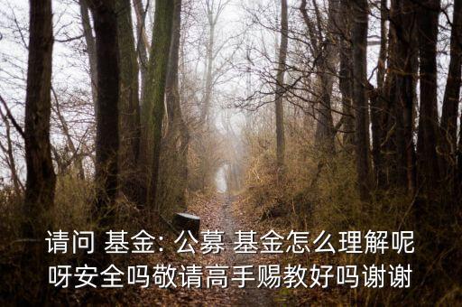 請(qǐng)問 基金: 公募 基金怎么理解呢呀安全嗎敬請(qǐng)高手賜教好嗎謝謝