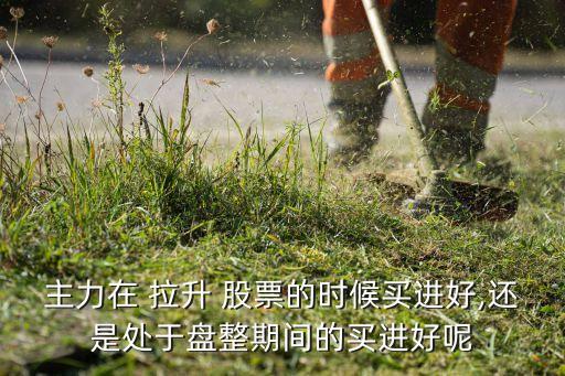 主力在 拉升 股票的時候買進好,還是處于盤整期間的買進好呢