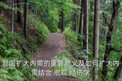 我國擴大內(nèi)需的重要意義及如何擴大內(nèi)需結(jié)合 宏觀 經(jīng)濟學(xué)