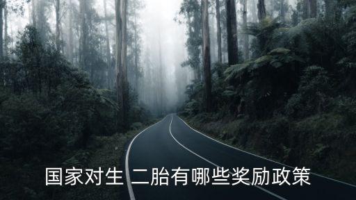 國(guó)家對(duì)生 二胎有哪些獎(jiǎng)勵(lì)政策
