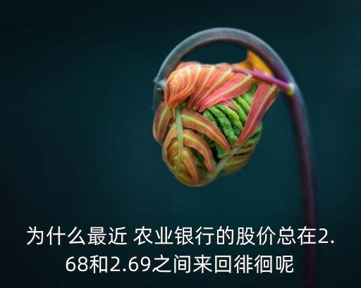 為什么最近 農(nóng)業(yè)銀行的股價總在2.68和2.69之間來回徘徊呢