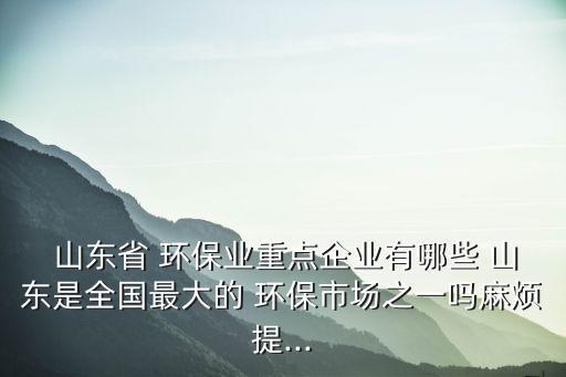 山東魯豐環(huán)保科技有限公司,山東綠之能環(huán)?？萍加邢薰?/></a></span><span id=