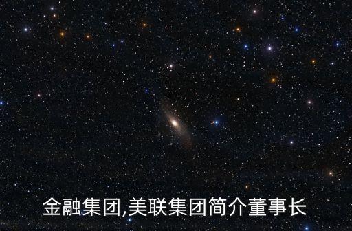 美聯(lián)金融集團(tuán),美聯(lián)集團(tuán)簡介董事長