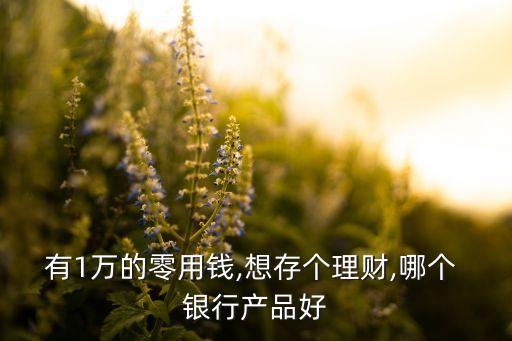 有1萬(wàn)的零用錢(qián),想存?zhèn)€理財(cái),哪個(gè) 銀行產(chǎn)品好