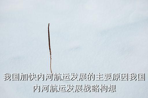我國加快內(nèi)河航運(yùn)發(fā)展的主要原因我國內(nèi)河航運(yùn)發(fā)展戰(zhàn)略構(gòu)想