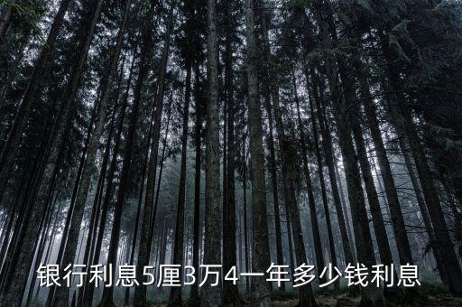 銀行利息5厘3萬(wàn)4一年多少錢利息
