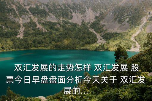  雙匯發(fā)展的走勢怎樣 雙匯發(fā)展 股票今日早盤盤面分析今天關于 雙匯發(fā)展的...