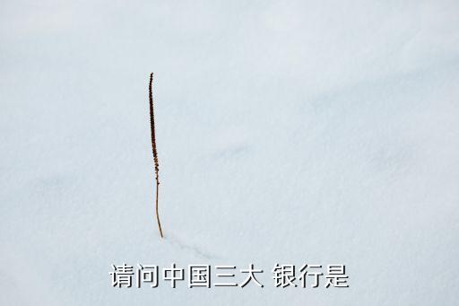 請(qǐng)問中國(guó)三大 銀行是