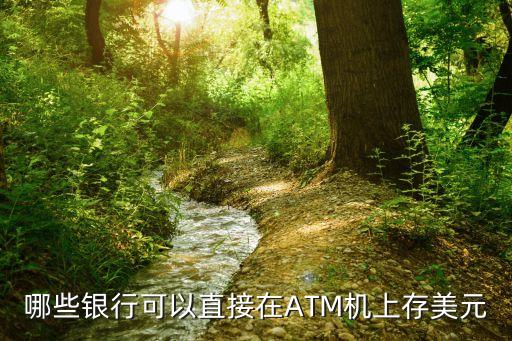 哪些銀行可以直接在ATM機上存美元