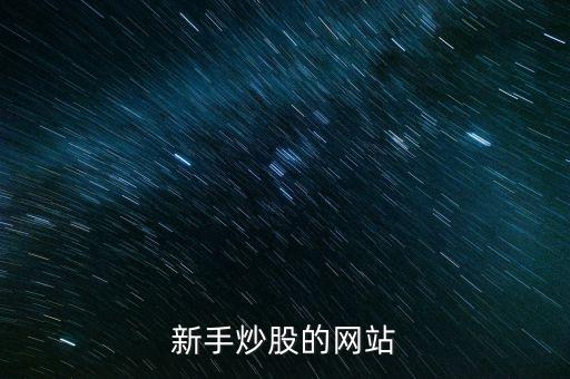 新手炒股的網站