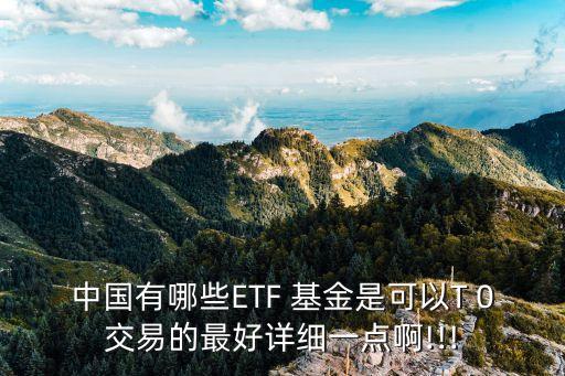 中國(guó)有哪些ETF 基金是可以T 0交易的最好詳細(xì)一點(diǎn)啊!!!