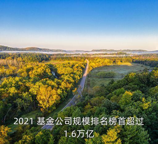 2021 基金公司規(guī)模排名榜首超過(guò)1.6萬(wàn)億
