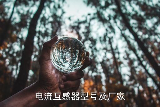 電流互感器型號(hào)及廠家