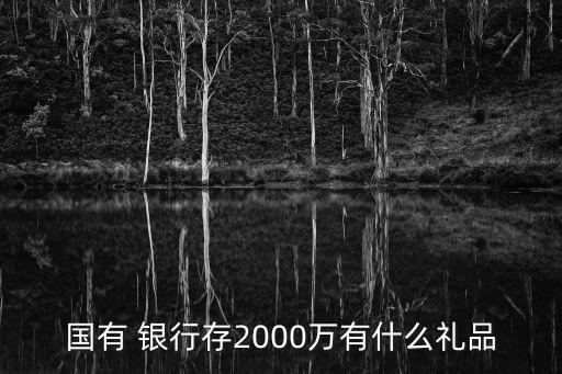 國(guó)有 銀行存2000萬(wàn)有什么禮品