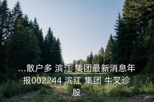 ...散戶(hù)多 濱江 集團(tuán)最新消息年報(bào)002244 濱江 集團(tuán) 牛叉診股