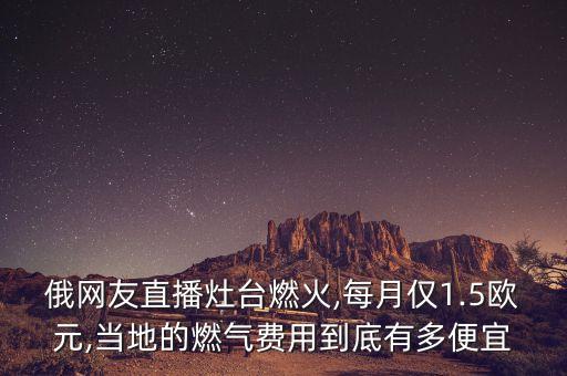 俄網(wǎng)友直播灶臺燃火,每月僅1.5歐元,當(dāng)?shù)氐娜細(xì)赓M用到底有多便宜