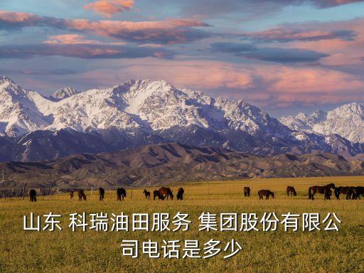 山東 科瑞油田服務(wù) 集團股份有限公司電話是多少
