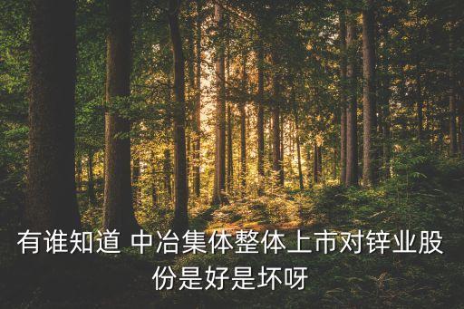 有誰知道 中冶集體整體上市對(duì)鋅業(yè)股份是好是壞呀