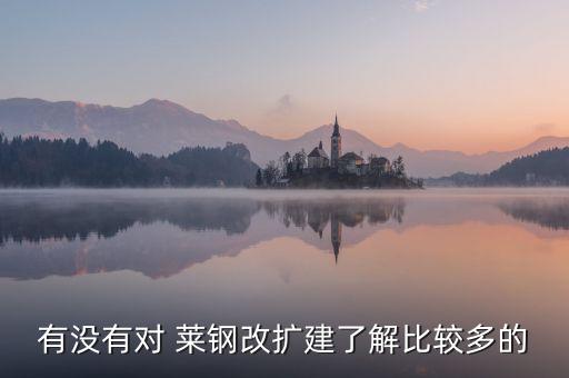 有沒有對 萊鋼改擴建了解比較多的