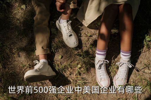 美國(guó)來(lái)德愛(ài)公司,美國(guó)吉利德公司