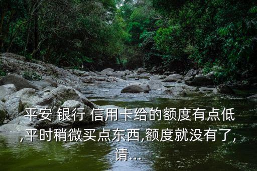  平安 銀行 信用卡給的額度有點(diǎn)低,平時(shí)稍微買點(diǎn)東西,額度就沒有了,請...