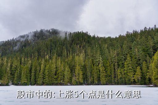 股市中的:上漲5個點是什么意思