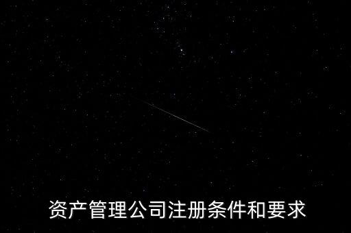  資產(chǎn)管理公司注冊(cè)條件和要求